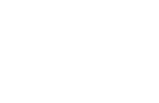 Vynte Performance